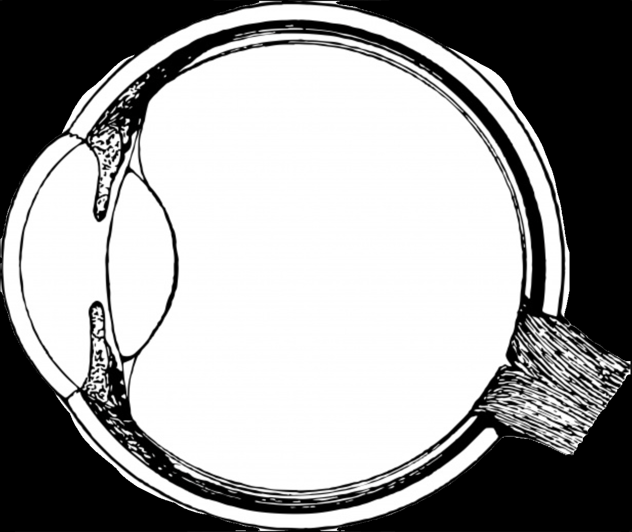 VOMS-101 3D Operating Microscope (Spine / Brain) by JY Sometech — image 7